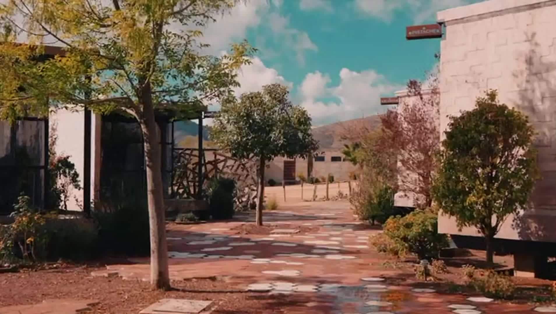 Property video