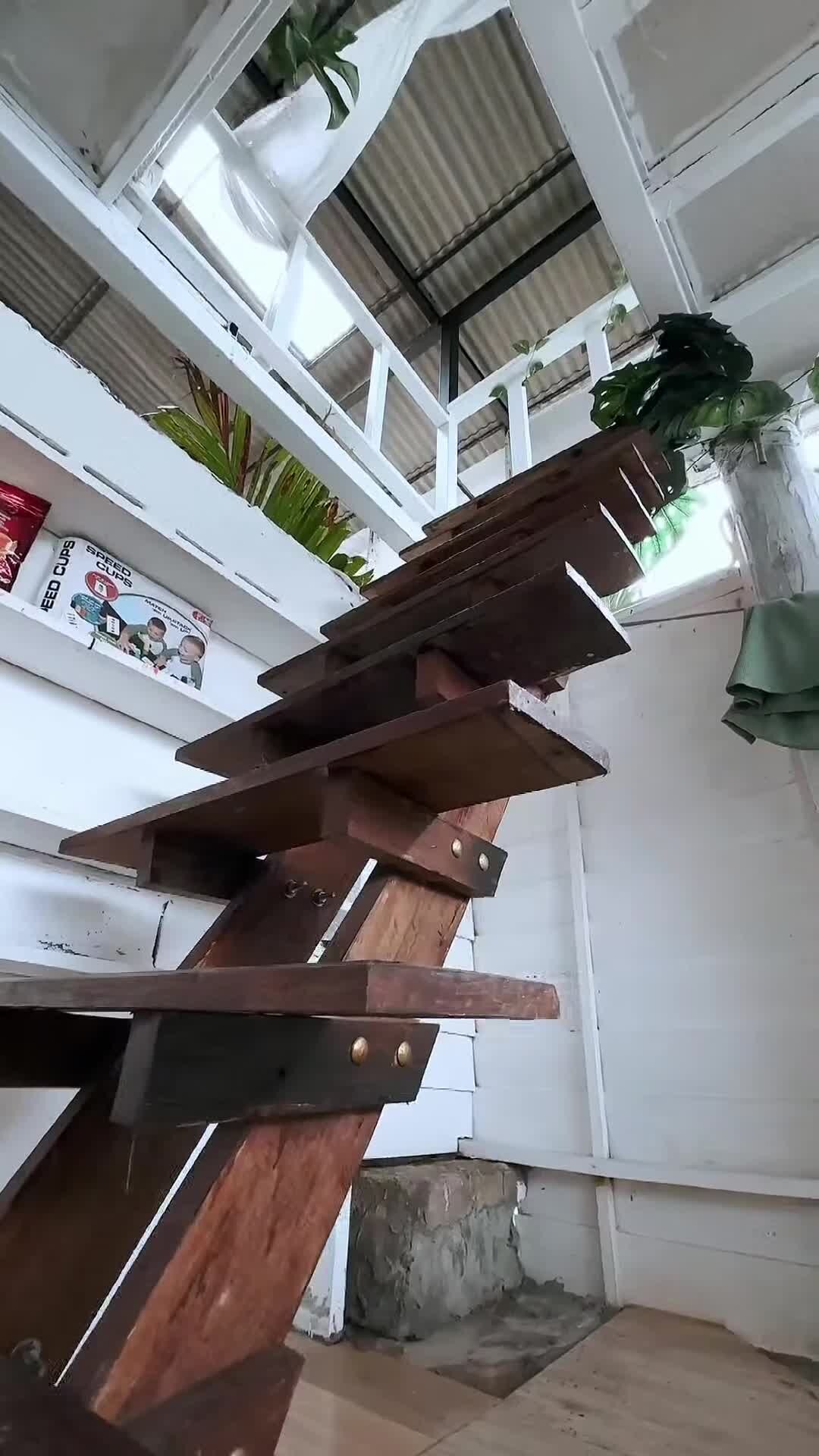 Video realizado por la propiedad