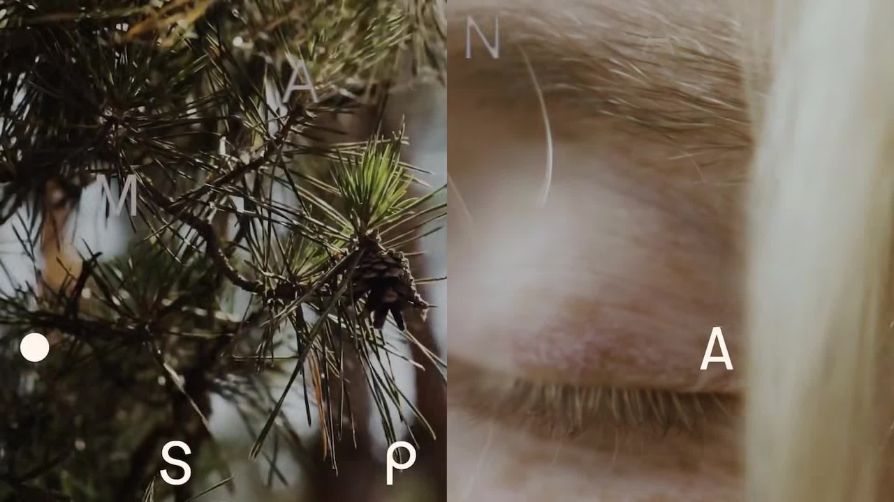 Vidéo de l’hébergement