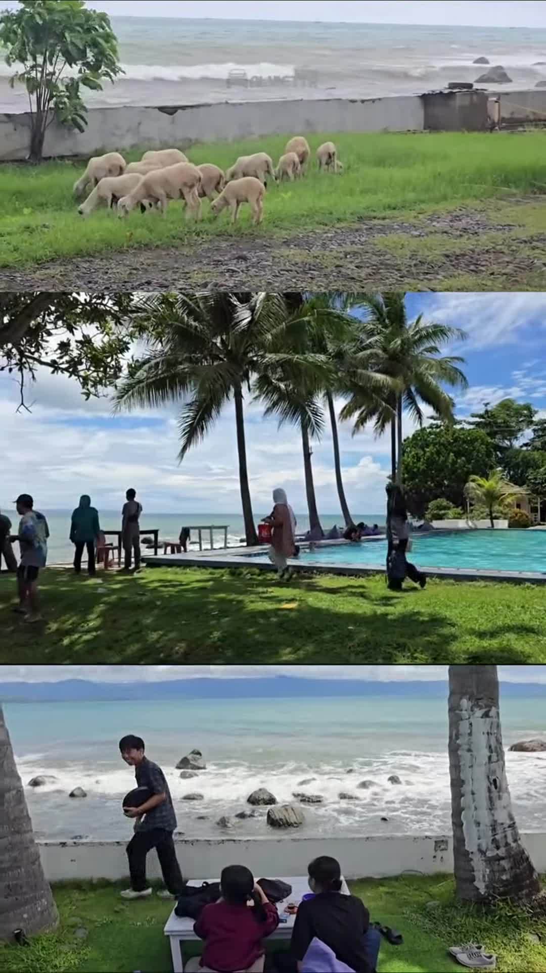 Video của nơi lưu trú