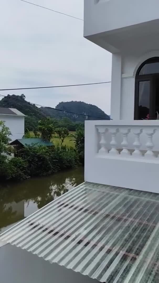 Video realizado por la propiedad