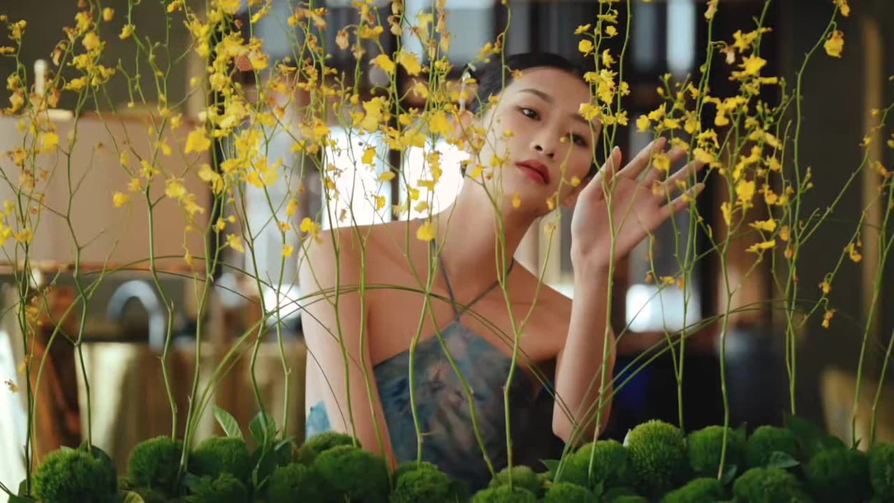 Video realizado por la propiedad