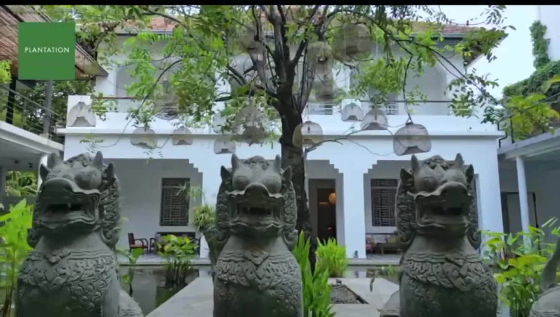 Video realizado por la propiedad