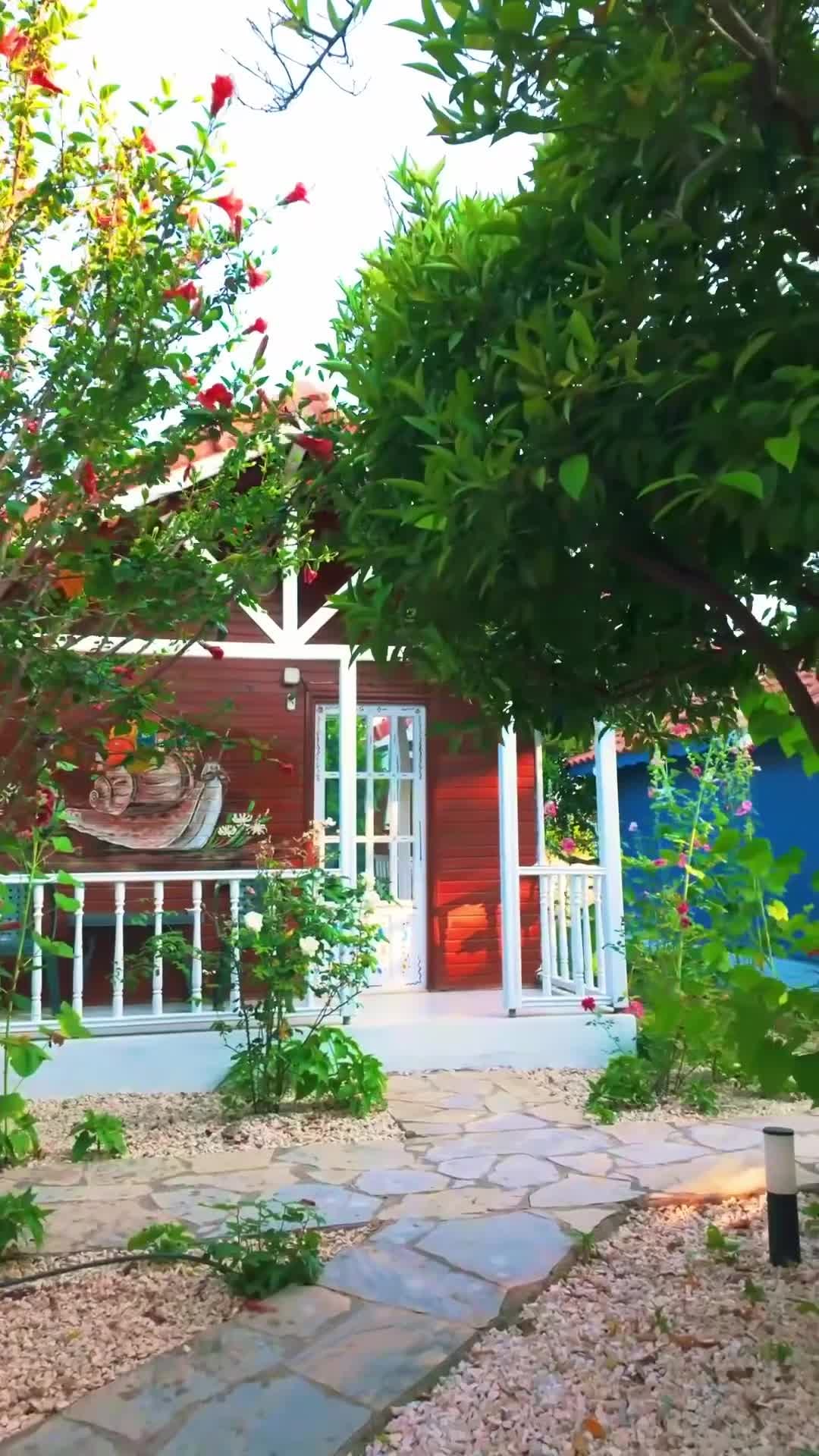 Property video