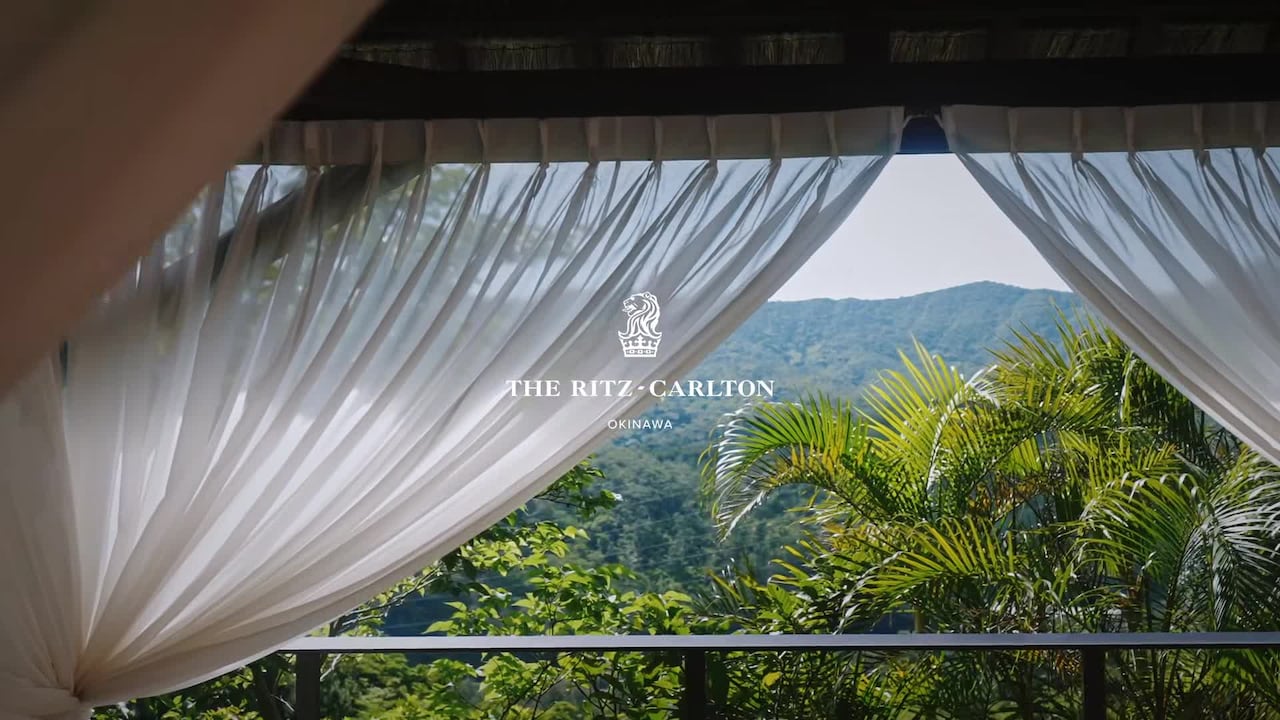 Vídeo fet per l’allotjament