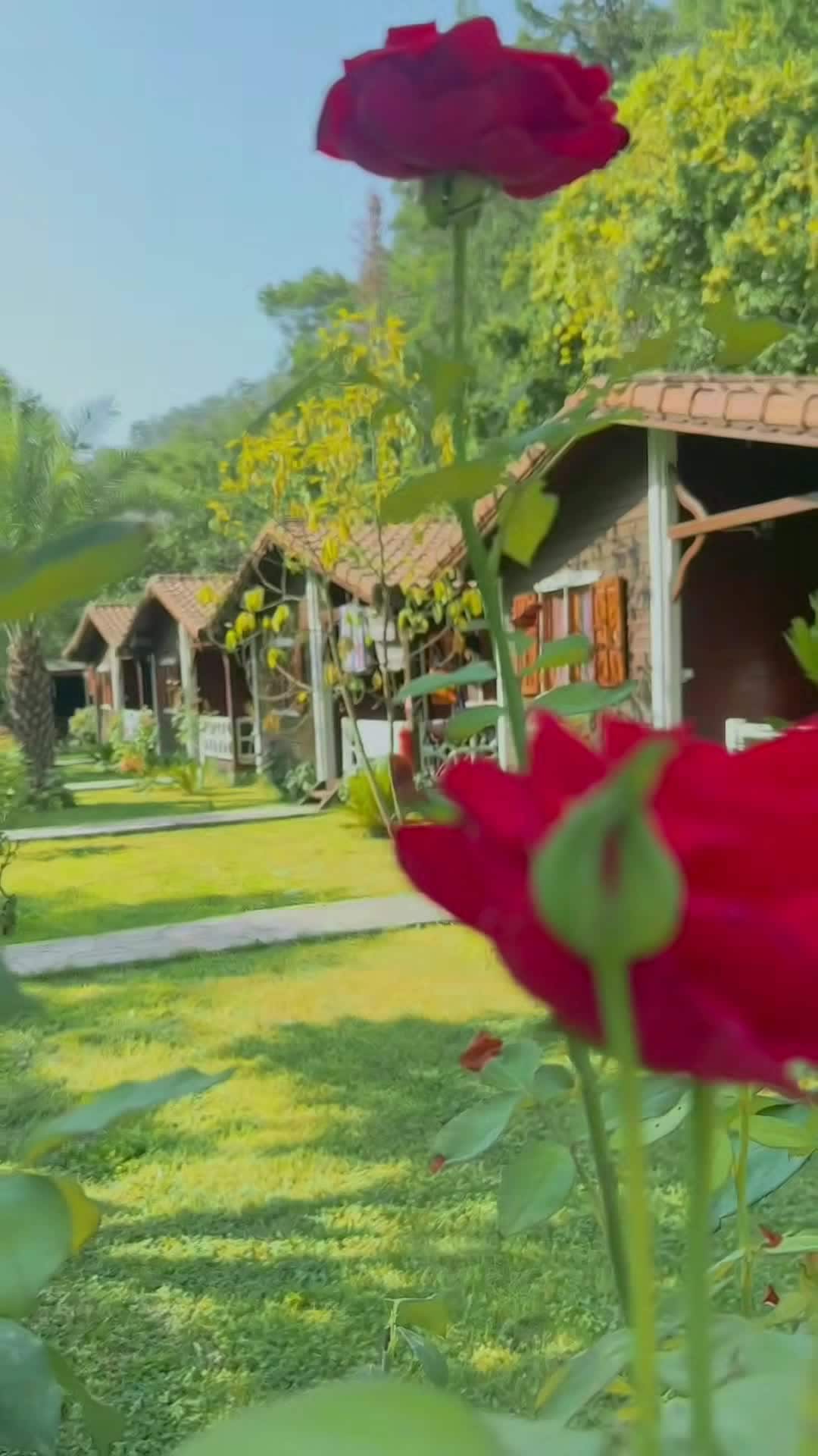 Property video