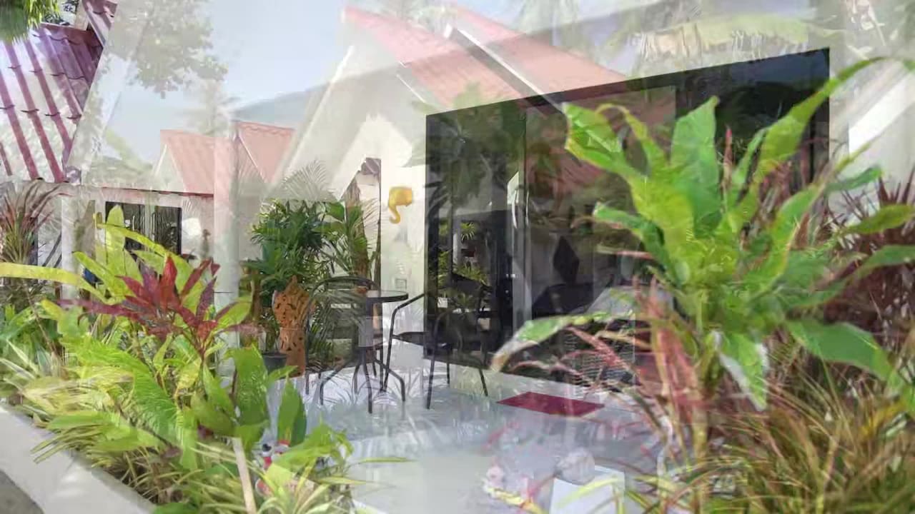Property video