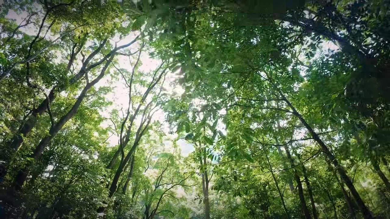 Vidéo de l’hébergement