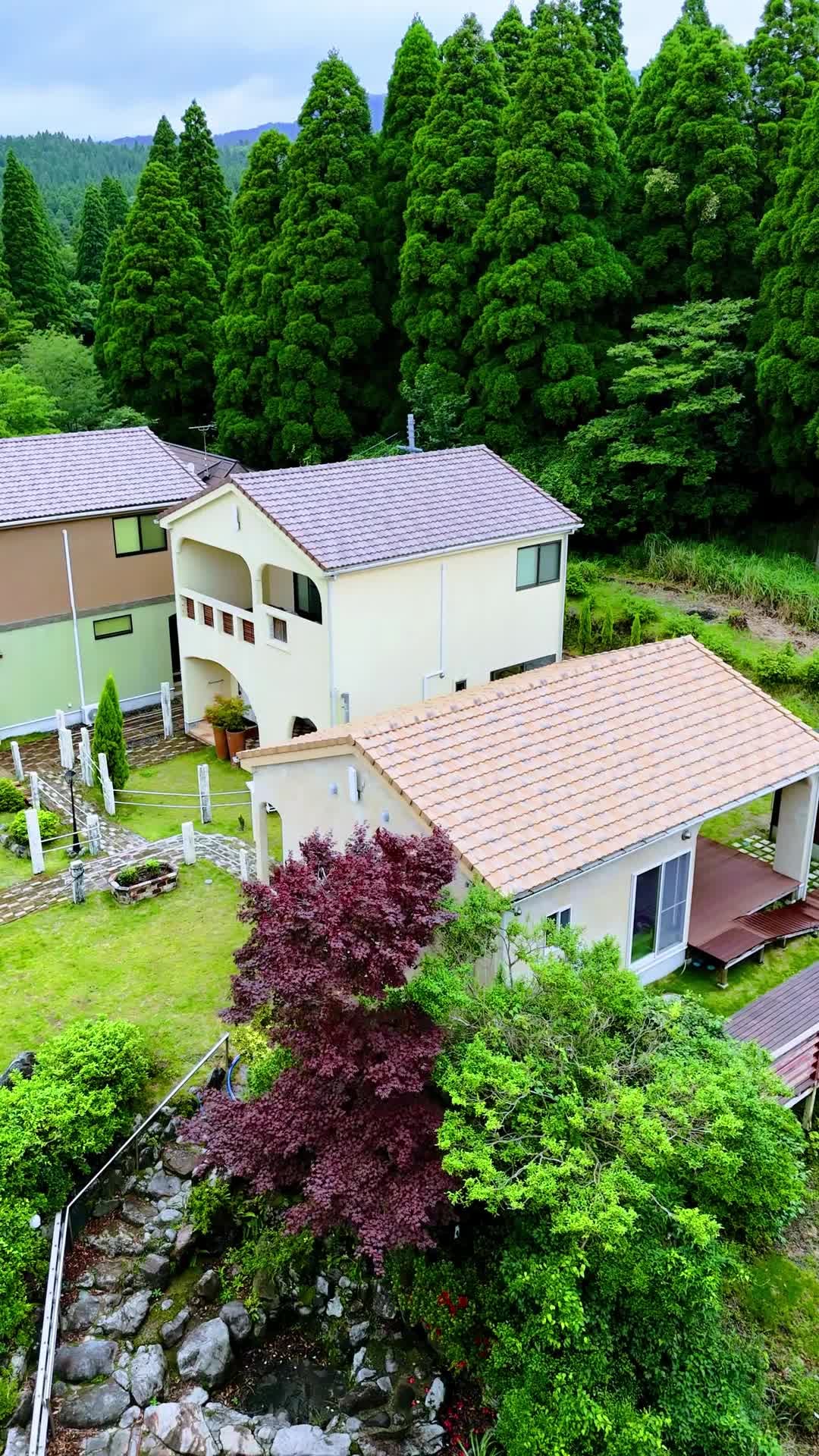 Property video