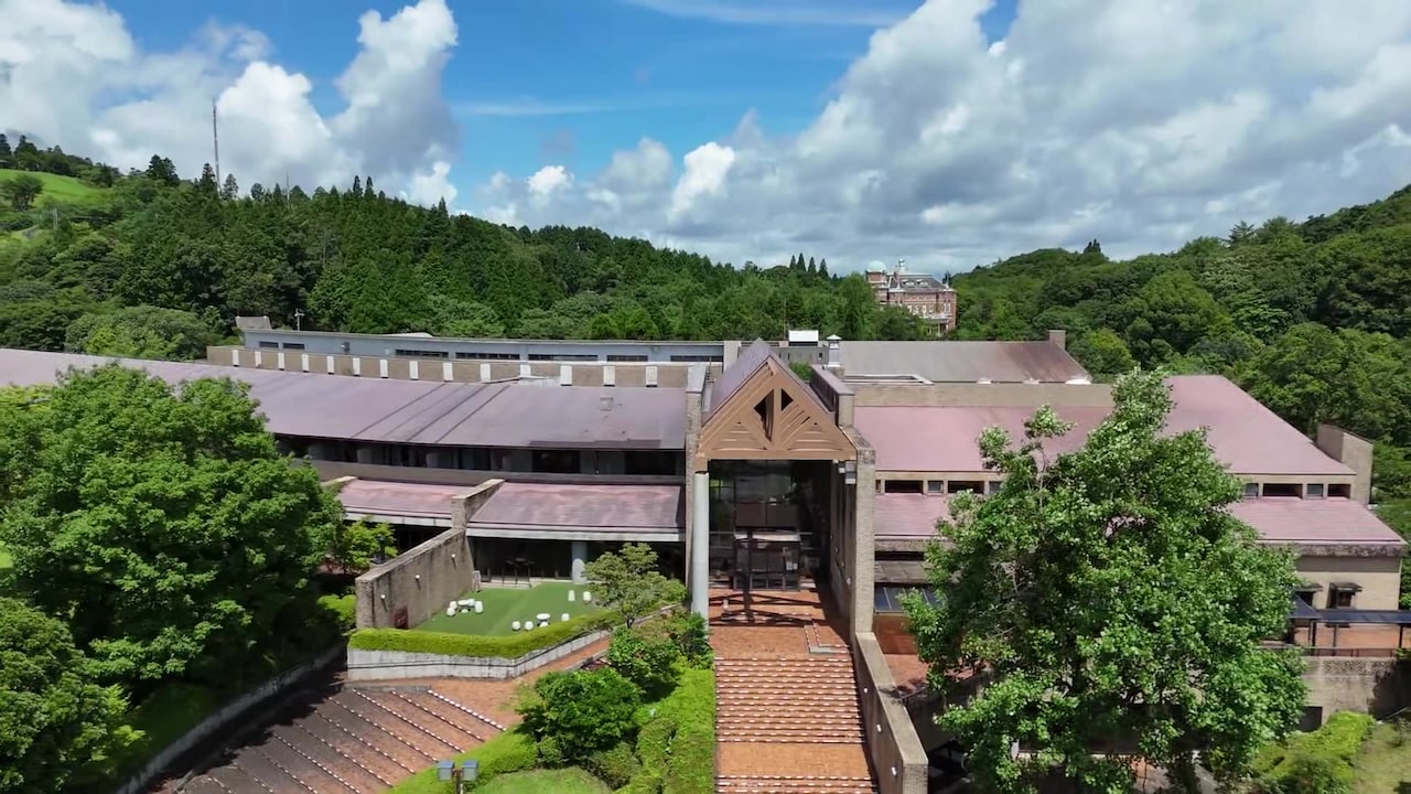 Property video