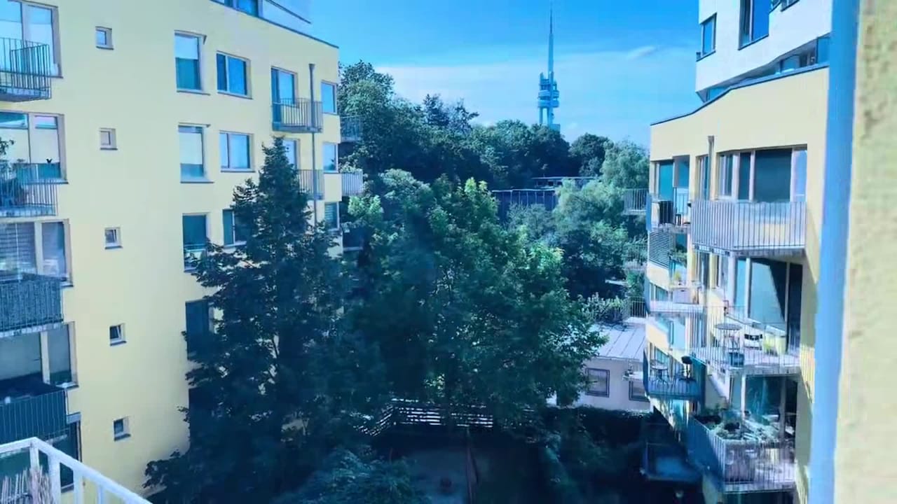 Video realizado por la propiedad