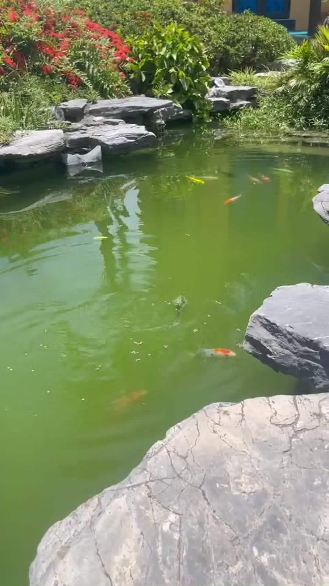 Video der Unterkunft