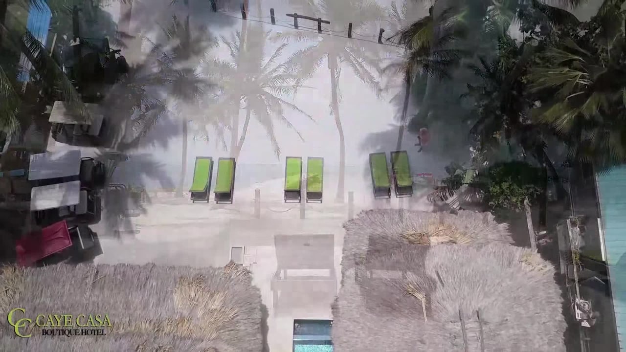 Video realizado por la propiedad