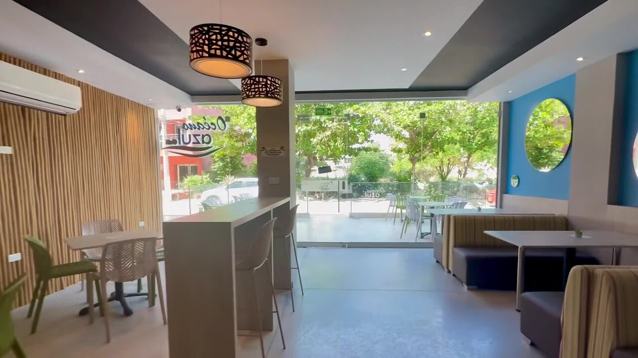 Property video