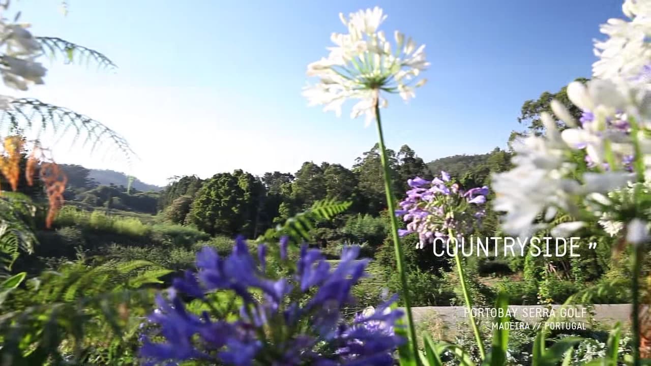 Vidéo de l’hébergement