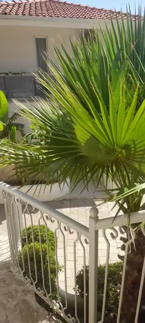 Video realizado por la propiedad
