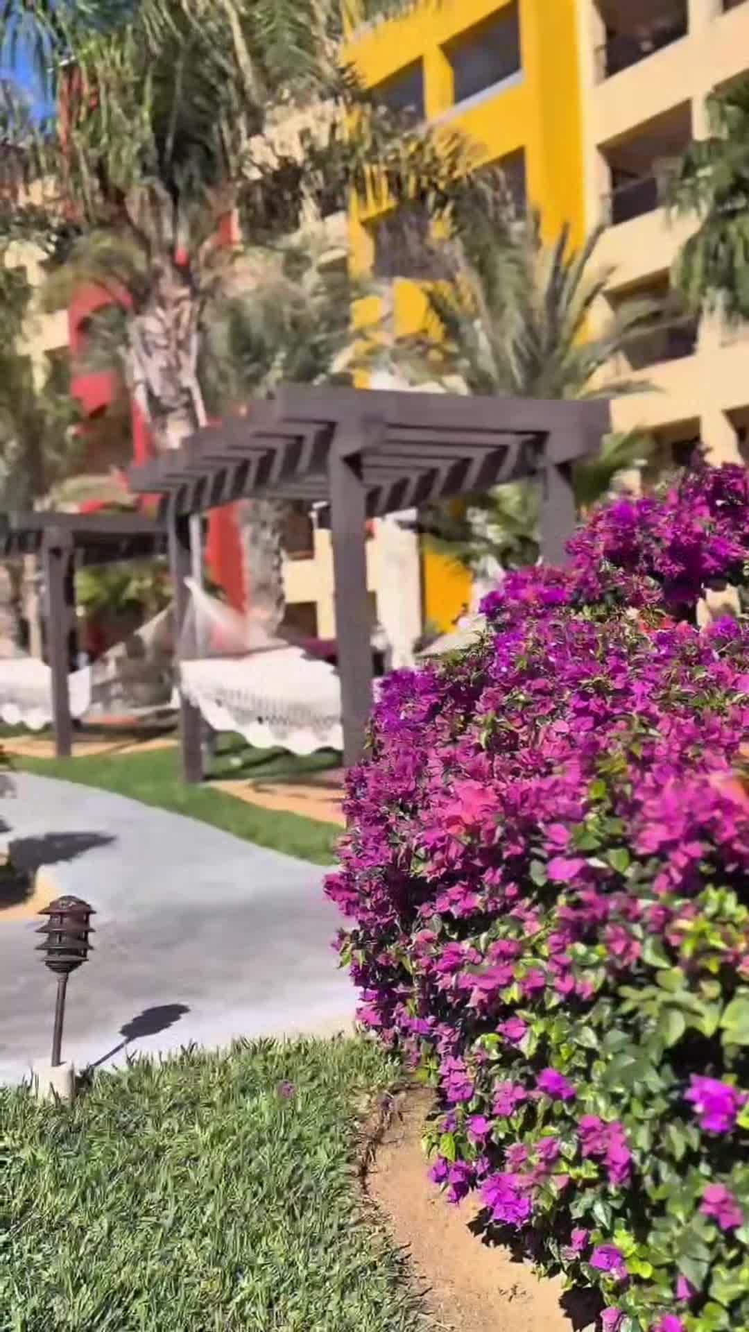 Video realizado por la propiedad