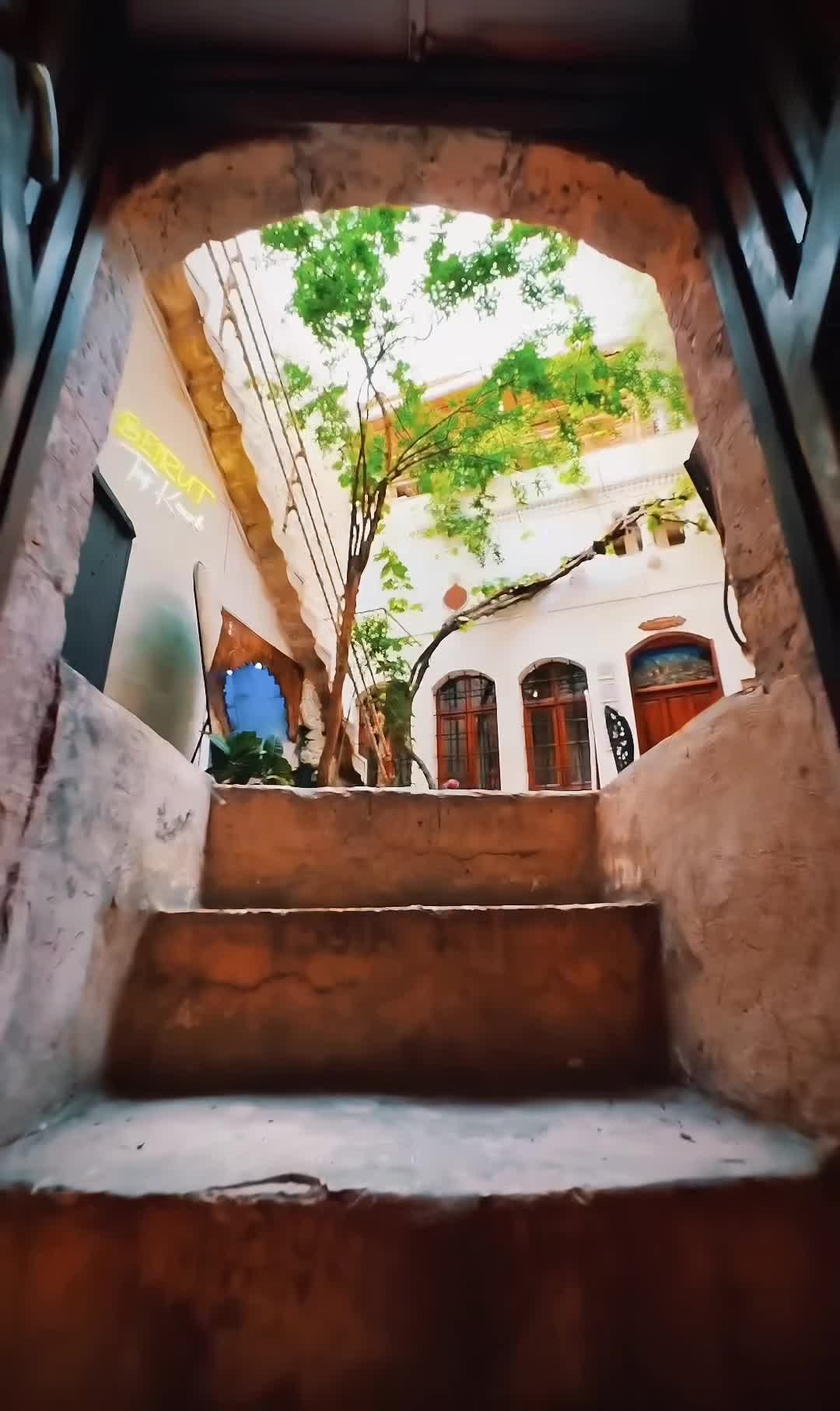 Property video