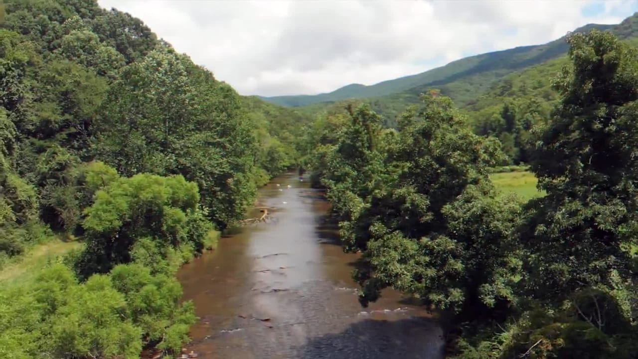 Property video