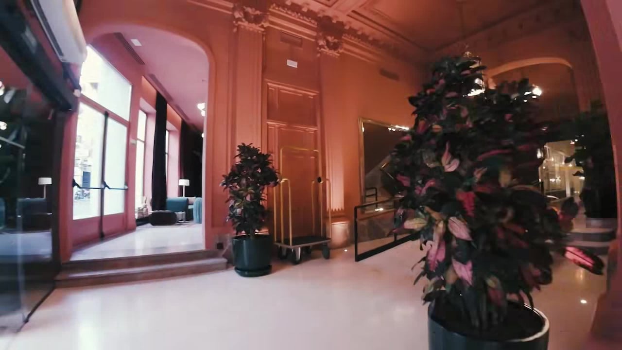 Video realizado por la propiedad
