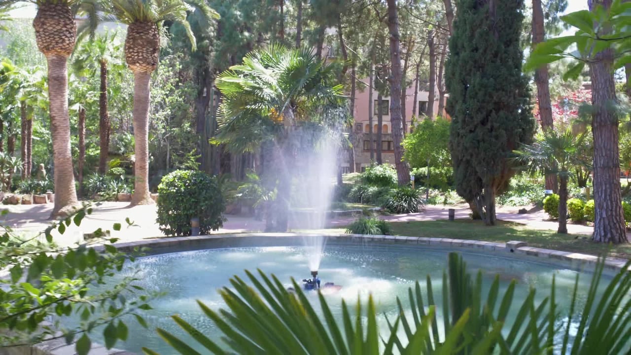 Property video
