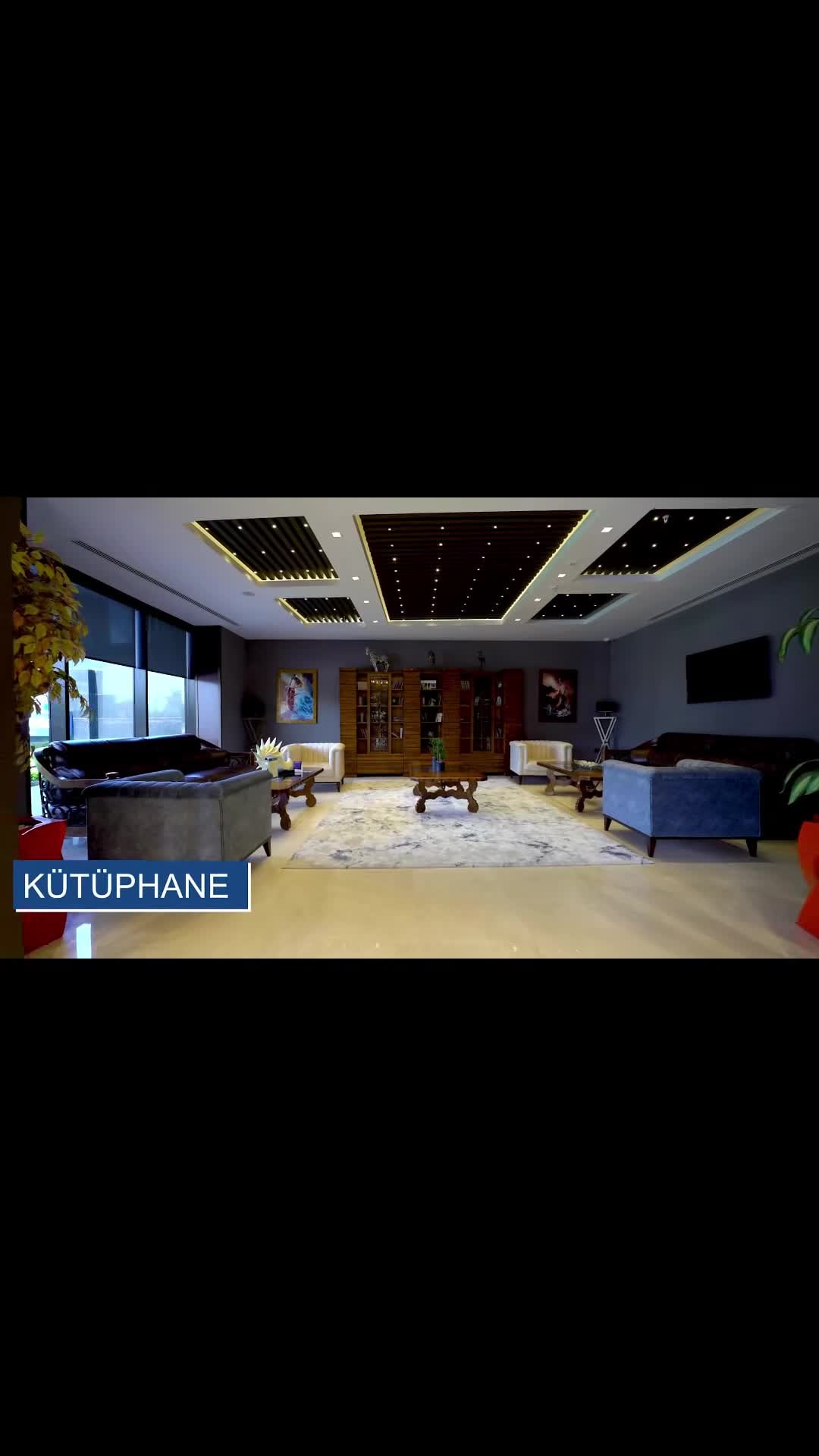 Property video
