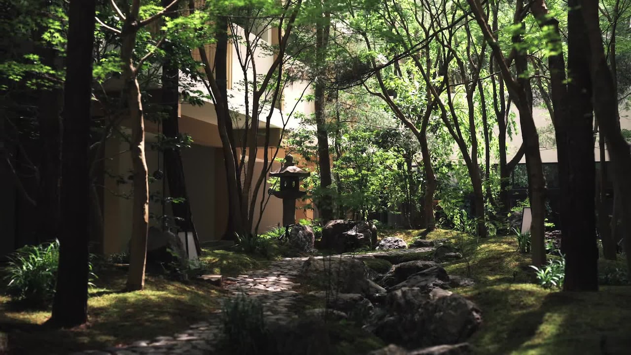 Property video