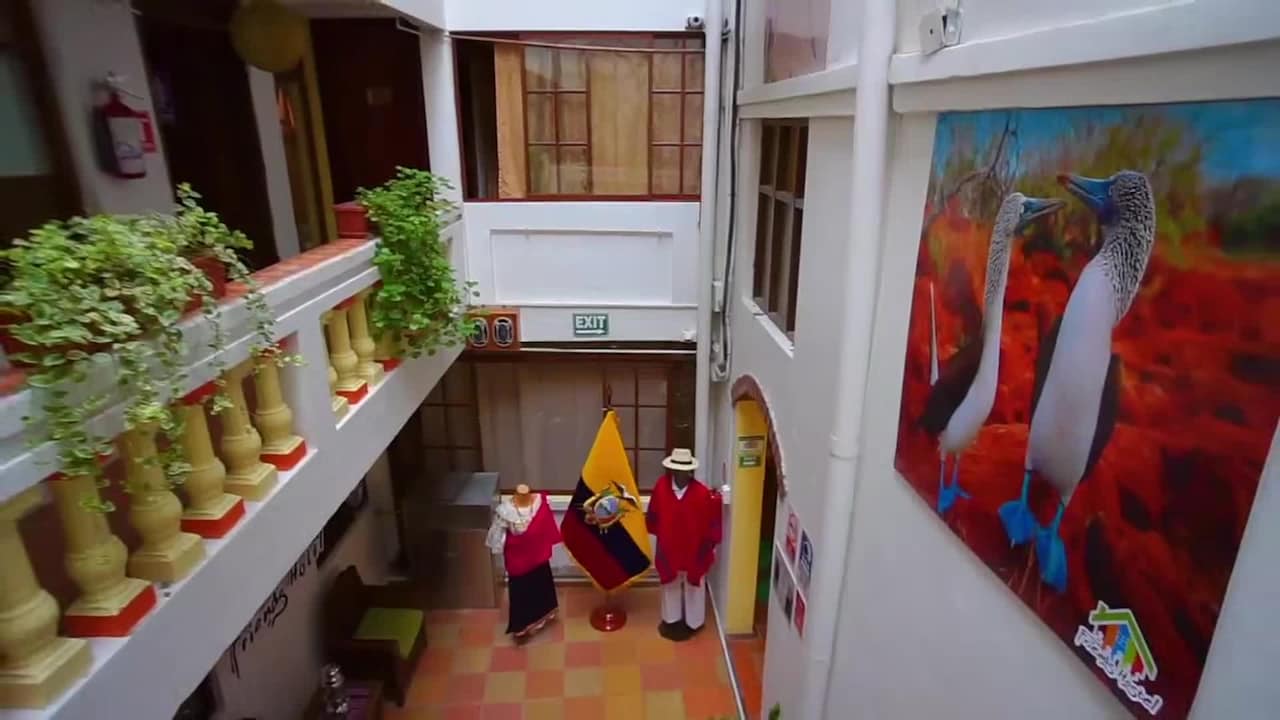 Property video