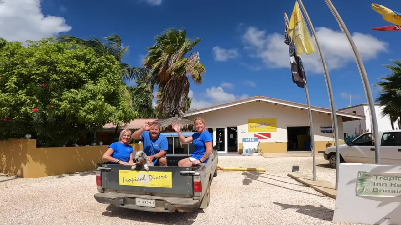 Property video