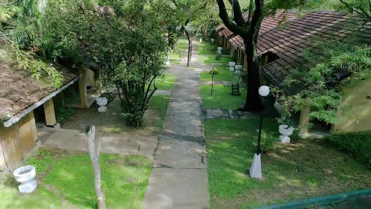 Property video