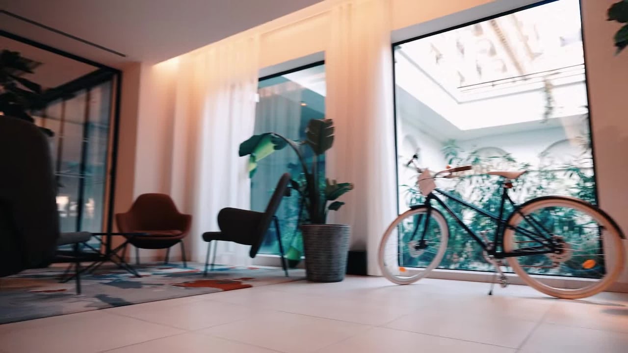 Video realizado por la propiedad
