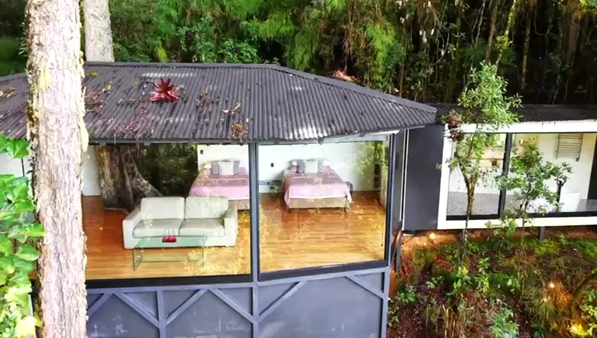 Video realizado por la propiedad