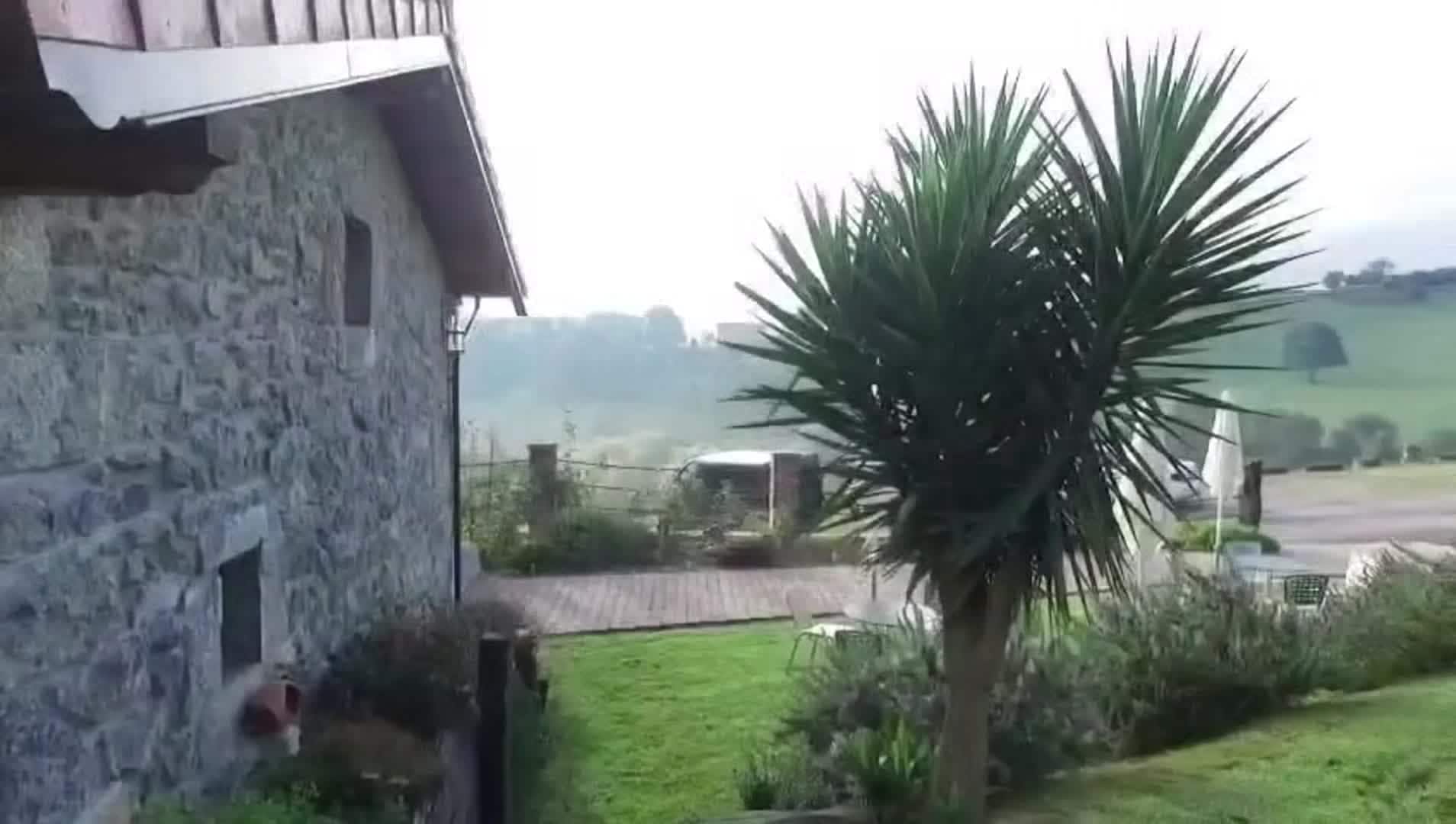 Property video