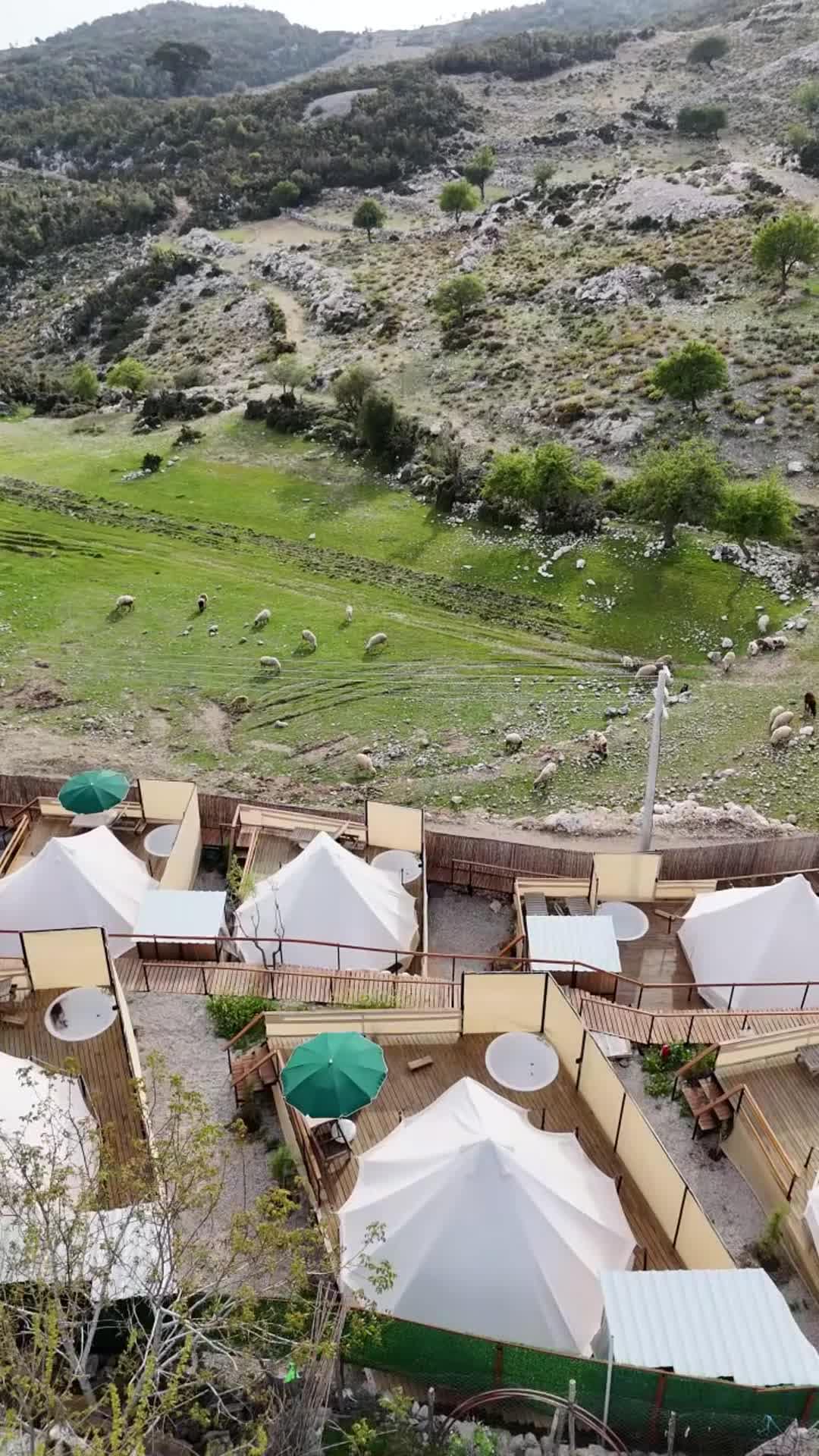 Property video