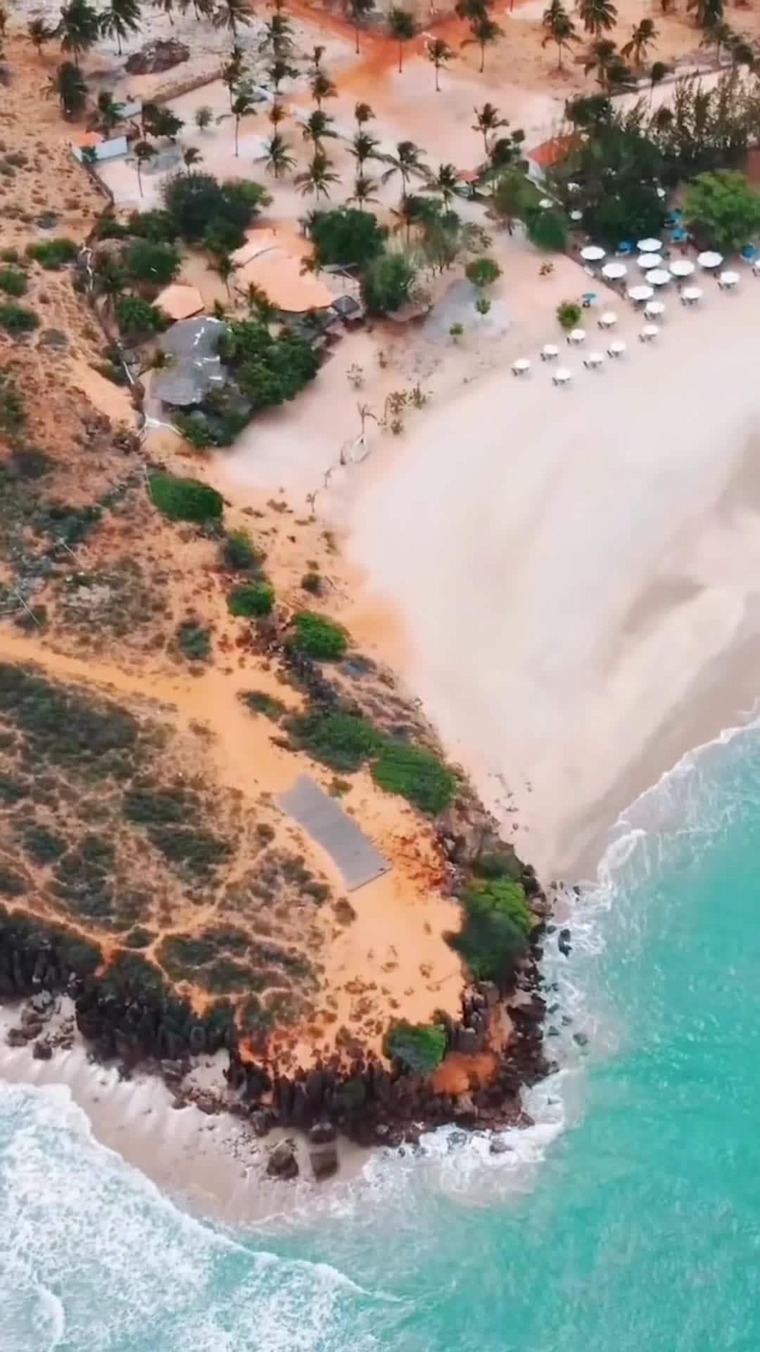 Video realizado por la propiedad