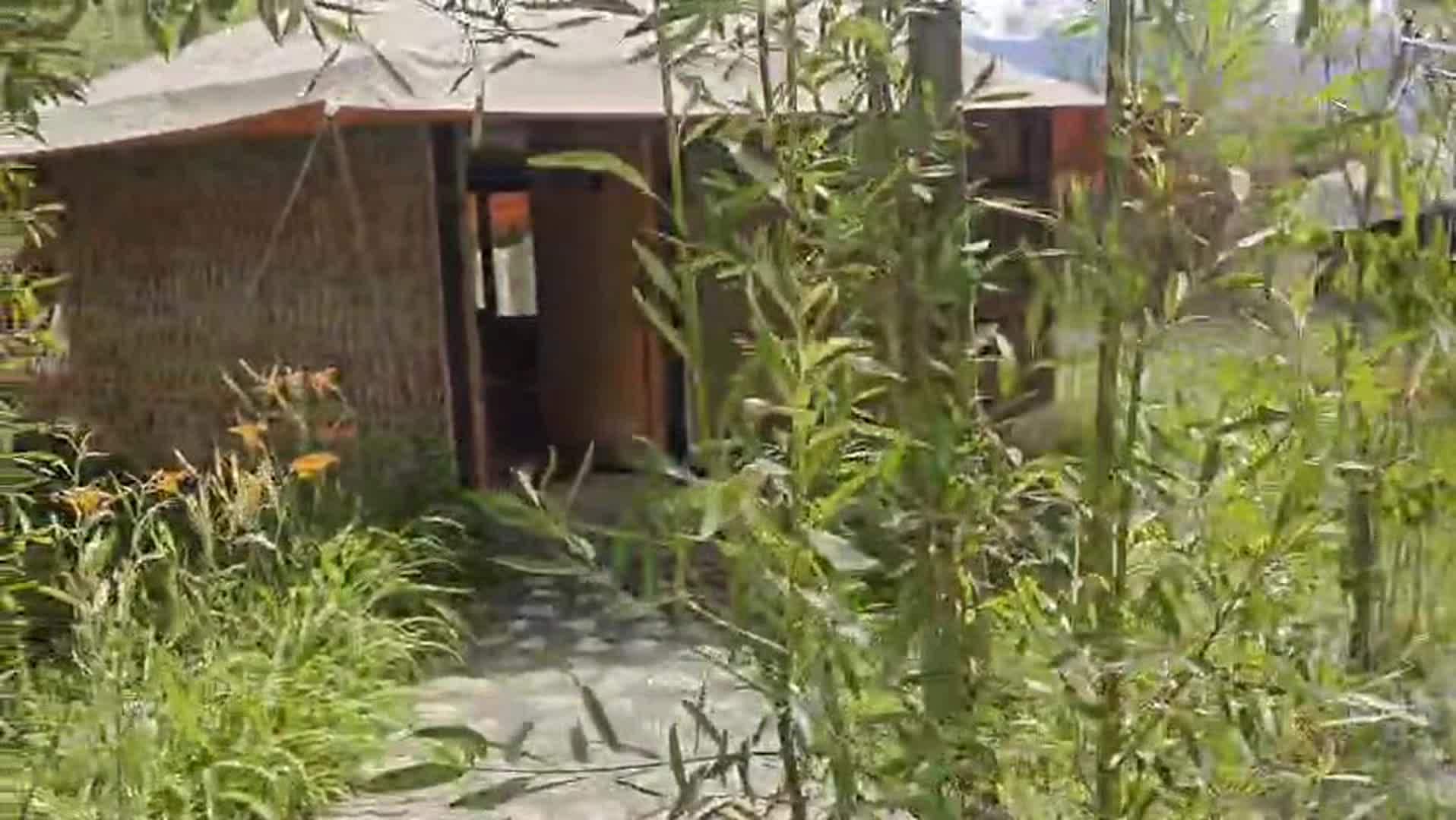 Video realizado por la propiedad