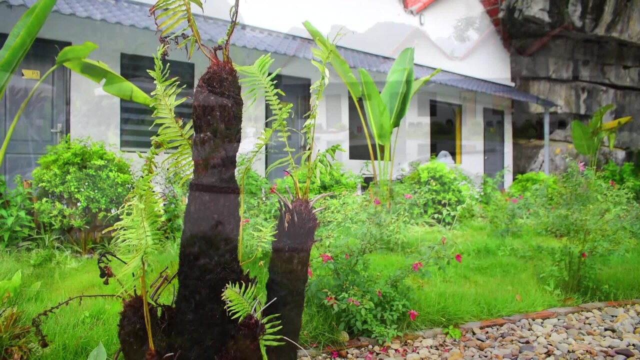 Property video