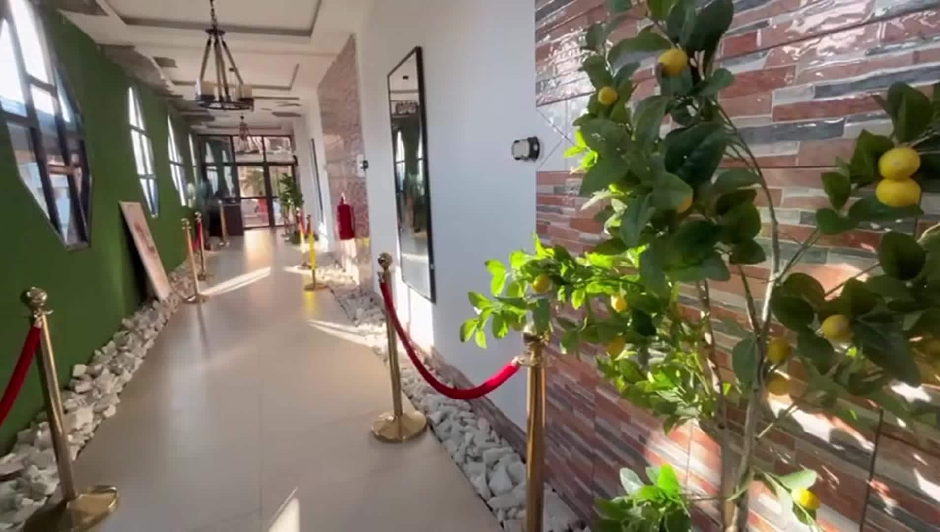 Property video