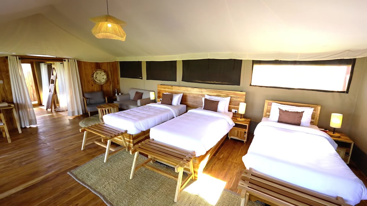 Property video