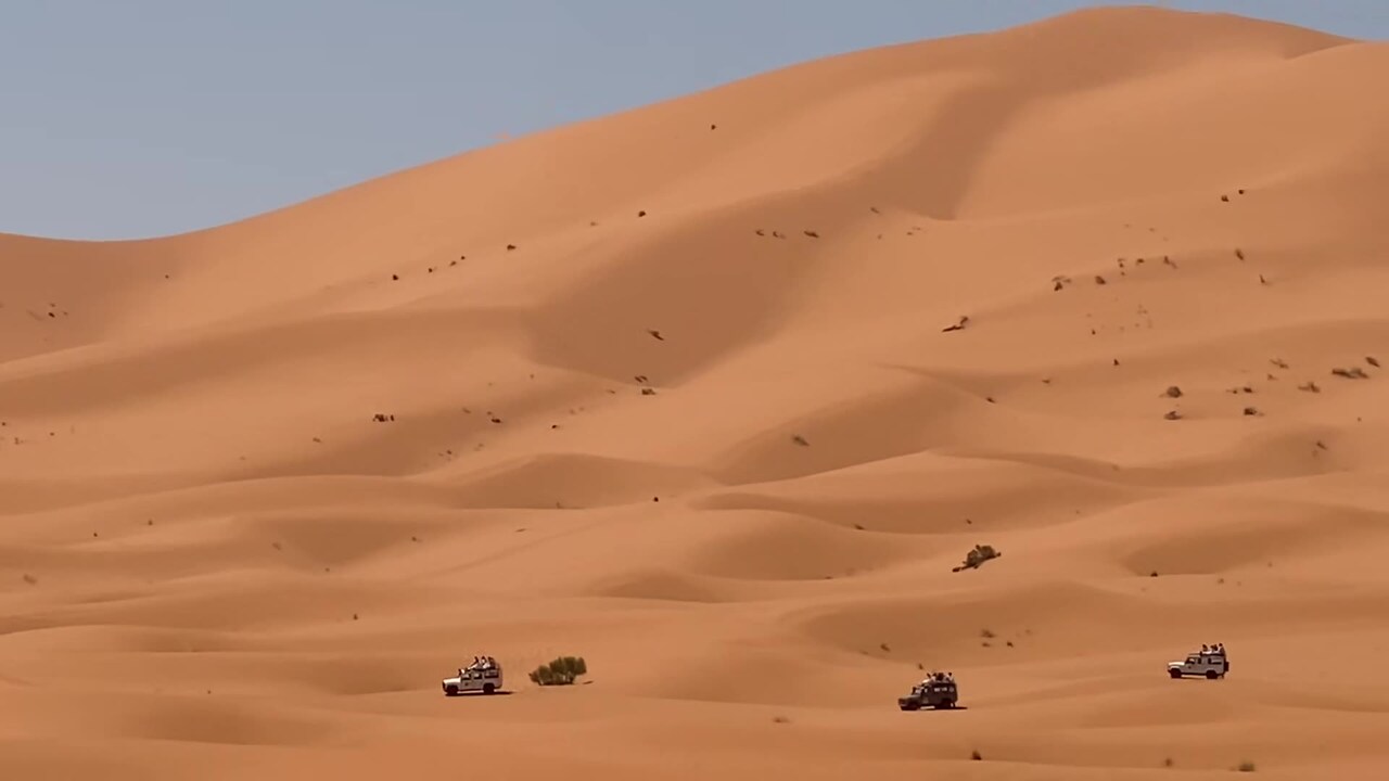 فيديو المنشأة الفندقية