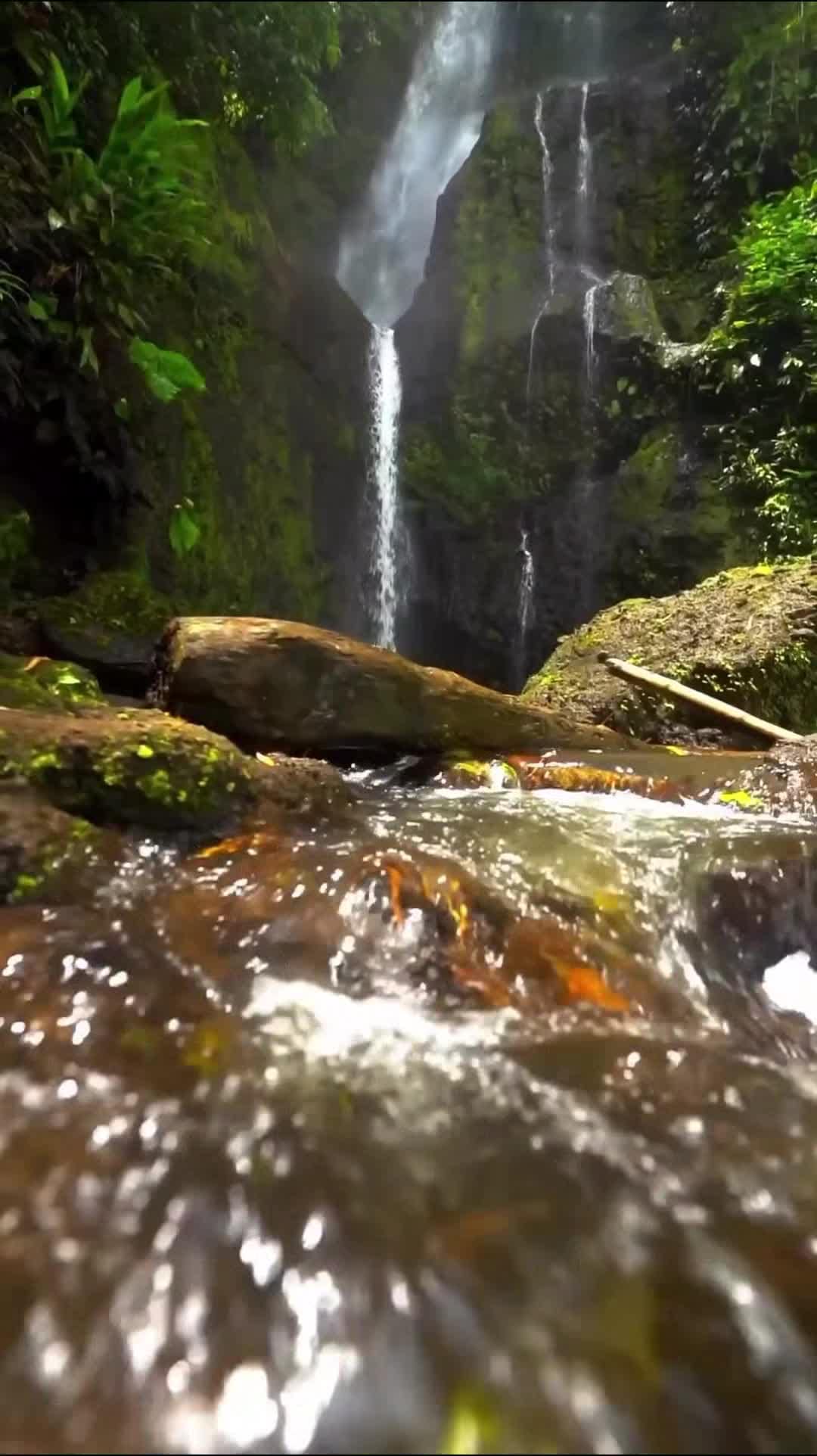 Vidéo de l’hébergement