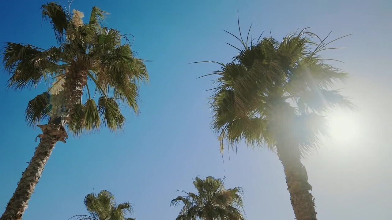 Vidéo de l’hébergement