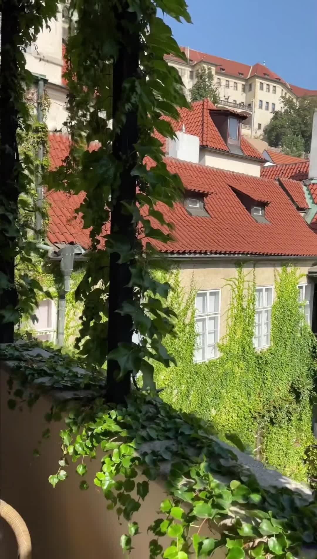 Property video