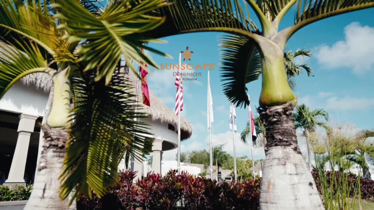 Property video