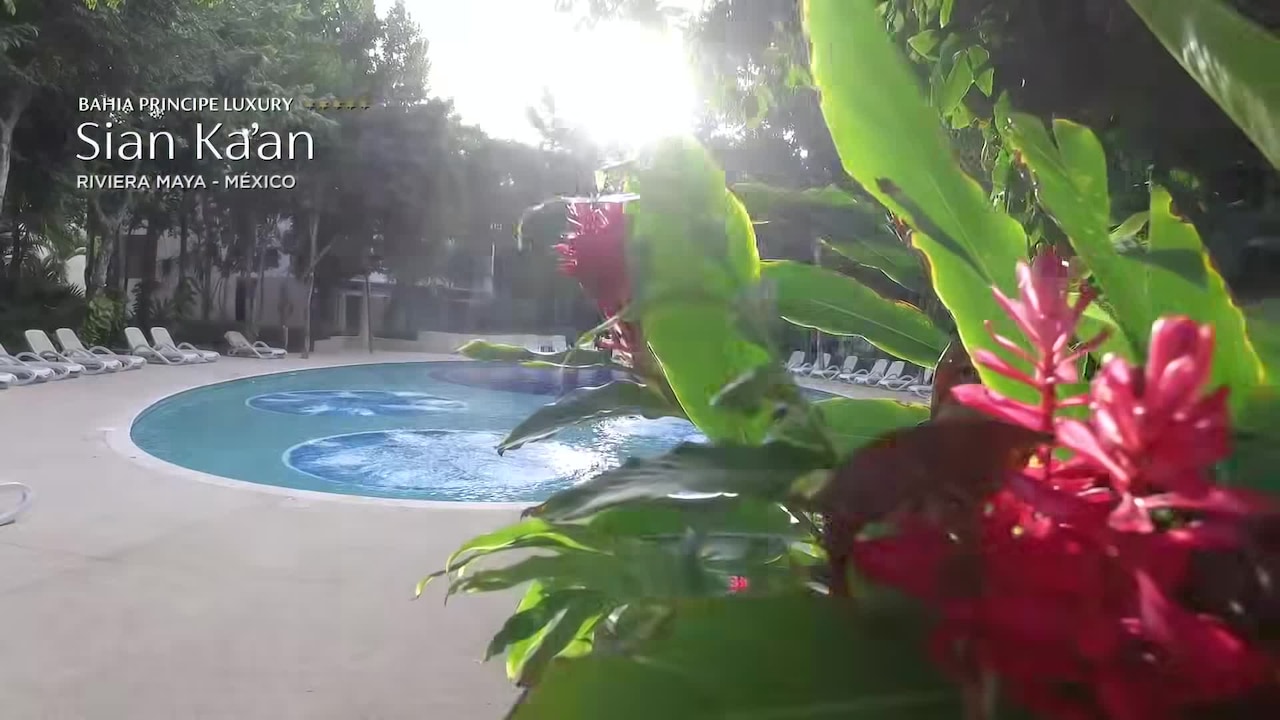 Vidéo de l’hébergement