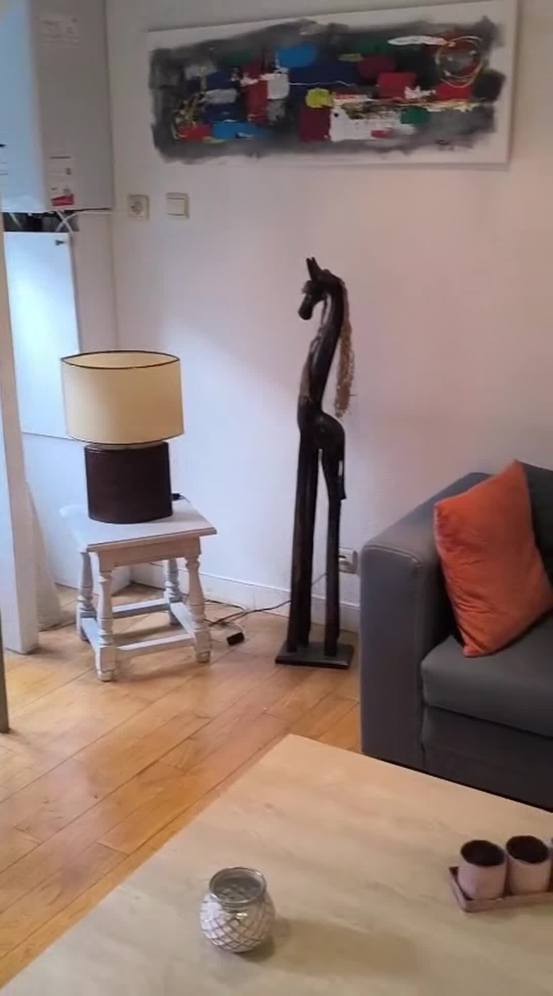 Vidéo de l’hébergement