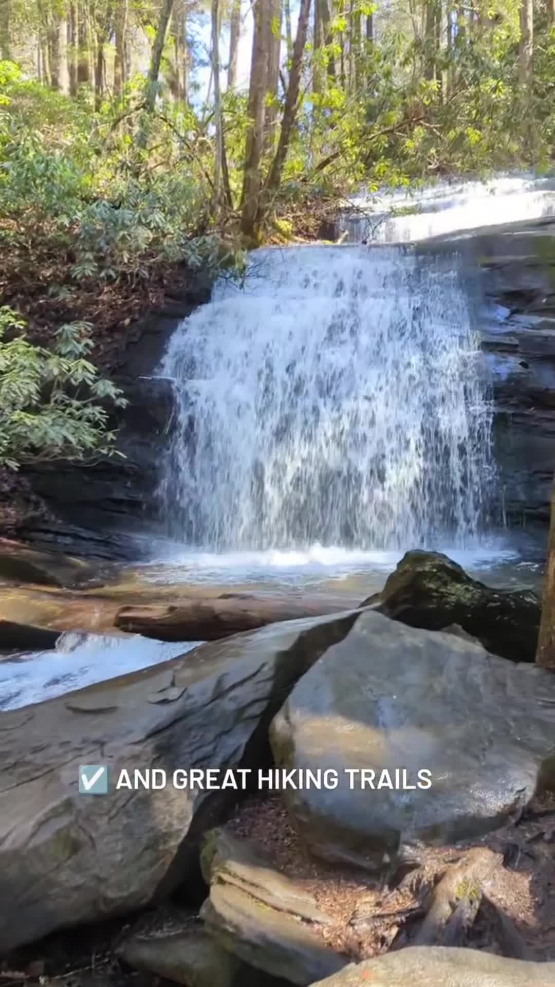 Video realizado por la propiedad