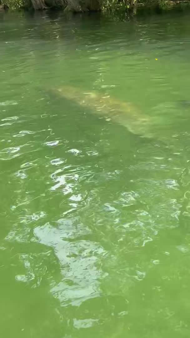 Vidéo de l’hébergement