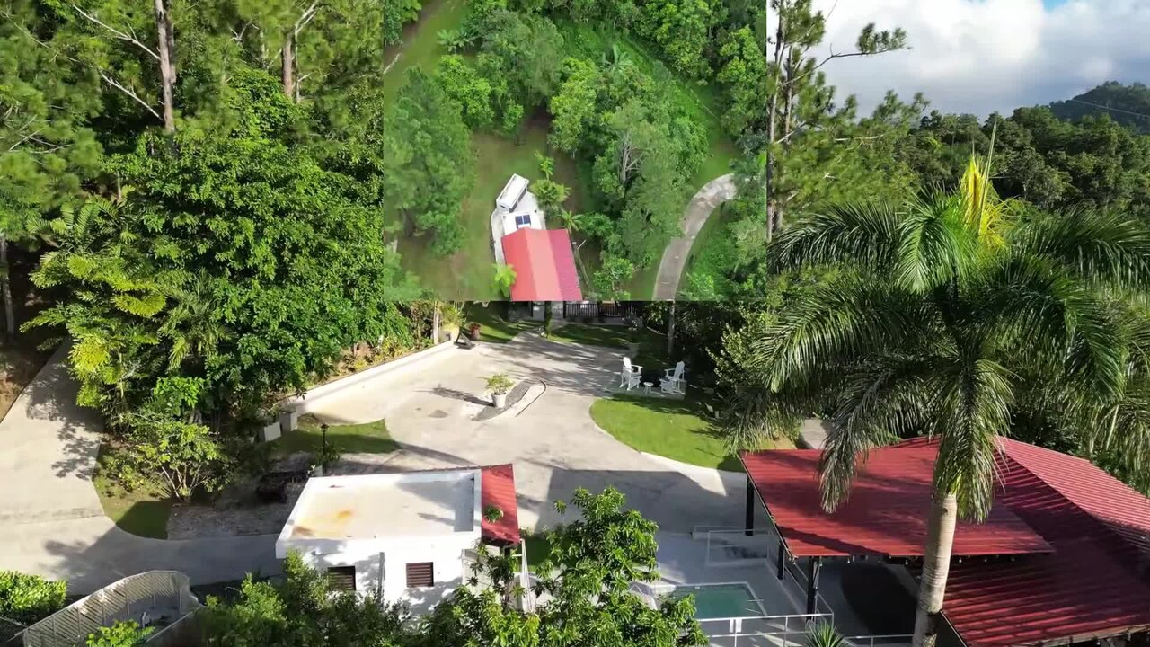 宿泊施設による動画