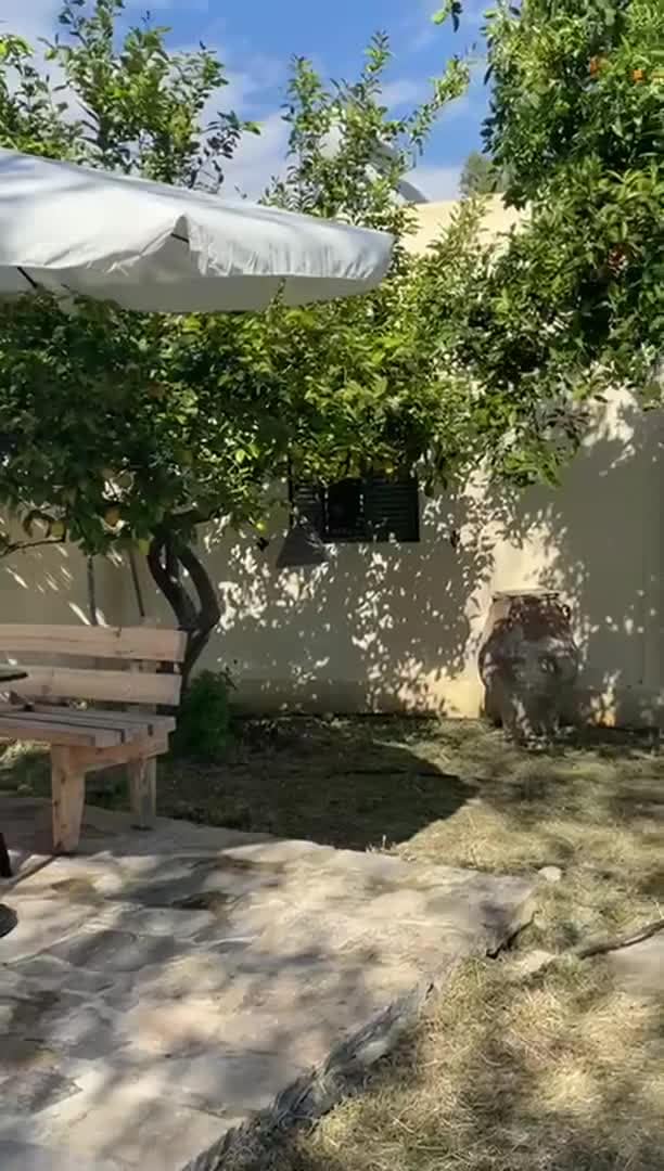 VidĂ©o de lâhĂ©bergement